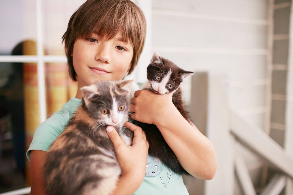 Adopt a Cat in New York City