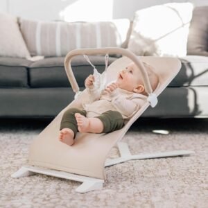 Find-14: Deluxe Portable Bouncer