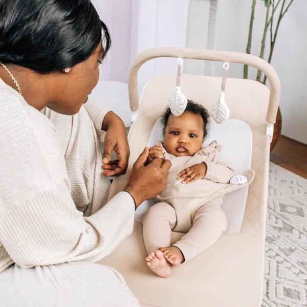 Find-14: Deluxe Portable Bouncer - Image 2