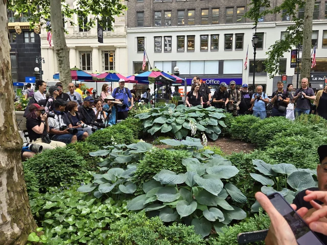 Free Things to Do in Midtown Manhattan